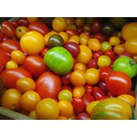 FST logo - Similar company to Fst Technologies