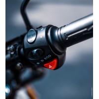 Motorhino Motorcycles logo - Similar company to Groupe Ecom Sarl-U