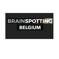 Brainspotting Belgium logo - Similar company to Brainspotting