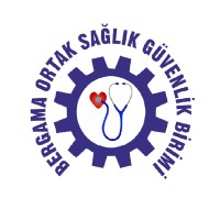 BERGAMA ORTAK SAĞLIK GÜVENLİK BİRİMİ MÜHENDİSLİK MADENCİLİK ÇEVRE VE EĞİTİM HİZ. TİC. LTD. ŞTİ logo - Similar company to Bergama Petek