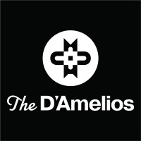 D'Amelio Family LLC logo - Similar company to D'Amelio Brands Llc