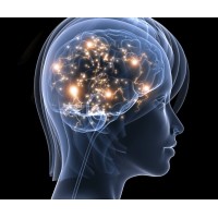 Michiana Neuroscience logo - Similar company to Partner Medical Group