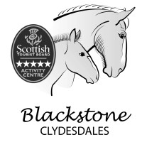 Blackstone Clydesdales