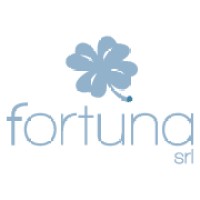 Fortuna Srl logo - Similar company to Fortuna S.R.L.