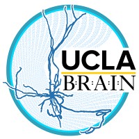 UCLA Brain Research & Artificial Intelligence Nexus logo - Similar company to Aligned Performance Institute