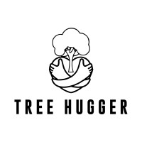 BMP Tree Hugger logo - Similar company to Treesplease