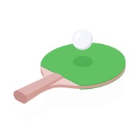 PingPong logo - Similar company to Dontbepatient Intelligence