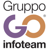 GO INFOTEAM logo - Similar company to Digitalsoft Group
