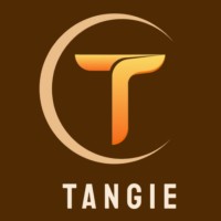 Tangie Negócios logo - Similar company to Partners & Brokers