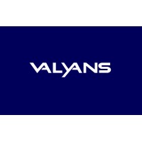 Valyans logo - Similar company to Altai Consulting