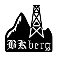 Bk Berg logo - Similar company to Bergstuderendes Forening