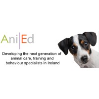 AniEd Ireland logo - Similar company to Imsosocial.Ie