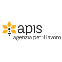APIS S.p.A. - Agenzia per il Lavoro logo - Similar company to Bsq Security