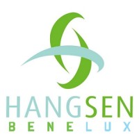 Hangsen eLiquids Benelux logo - Similar company to Element E-Liquid
