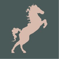 Stallion Marketing logo - Similar company to Lightfire Merchant