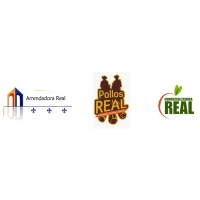 Grupo Real logo - Similar company to Gamatec Internacional