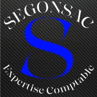 SEGONSAC EXPERTISE COMPTABLE logo - Similar company to La Team Phoenix