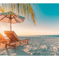 Business Trips By Elite Co logo - Similar company to Consulting By Elevate