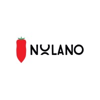 Nolano logo - Similar company to Secureaai Systems