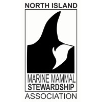 North Island Marine Mammal Stewardship Association logo - Similar company to Vivamar Society For Marine Mammal Research