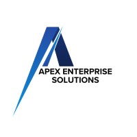 Apex Enterprise Solutions logo - Similar company to E2Web.Io
