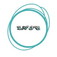 Lehigh Valley Sports Turf logo - Similar company to Forward Thinking Technology Solutions