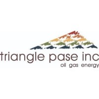 Triangle Pase Inc logo - Similar company to Triangle Group