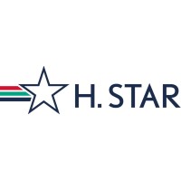 H. Star logo - Similar company to Kokodama