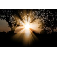 Avec-vous.be logo - Similar company to Divico Brabant Wallon