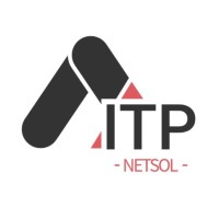 ITP Netsol logo - Similar company to Michael Thompson