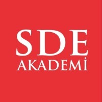 SDE Akademi logo - Similar company to Voia Technologies Ltd.