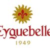 Domaine Eyguebelle logo - Similar company to Mondial De La Praline