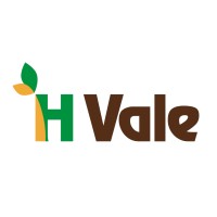 HVALE logo - Similar company to Brn Intl