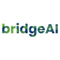 bridgeAI Australia logo - Similar company to B2W Solutions