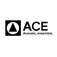 ACE Lorraine logo - Similar company to Niango Avocats