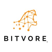 Bitvore logo - Similar company to Langflow