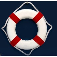 NetSuite Rescue logo - Similar company to Erp Equations Ltd. (Oracle | Netsuite Alliance Partner)