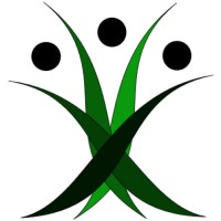Belmont Finance Llc