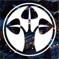 DFI logo - Similar company to Bcp Capital