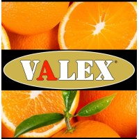 VALEX 2007 SL logo - Similar company to Qutoff