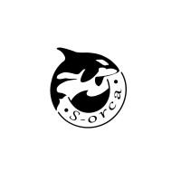 S-Orca logo - Similar company to Codly