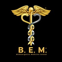 B.E.M. School logo - Similar company to Pacer Consulting Ltda