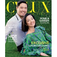 CVLUX logo - Similar company to The Darling Hotel