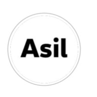 Asil Motorlu Araçlar logo - Similar company to Sarar Renault