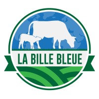 La Bille Bleue logo - Similar company to Adage 35