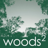 Woods Squared logo - Similar company to Pecunia Pro Limited