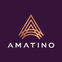 Amatino logo - Similar company to Dmb Chartered Accountants
