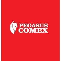 Pegasus Comex logo - Similar company to Cimex