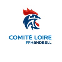 COMITE DE LA LOIRE DE HANDBALL logo - Similar company to Angelis Academy