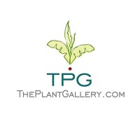 The Plant Gallery, Inc. logo - Similar company to Hillaudit Training Ltd